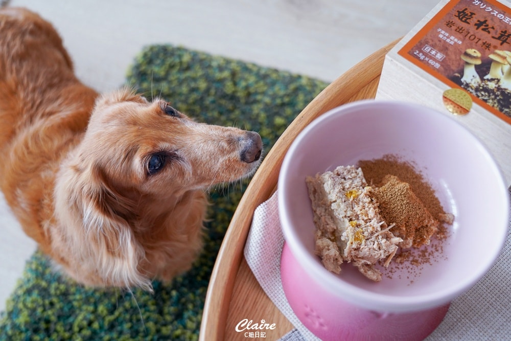 20251024-hzf7j 20251024-hzf7j