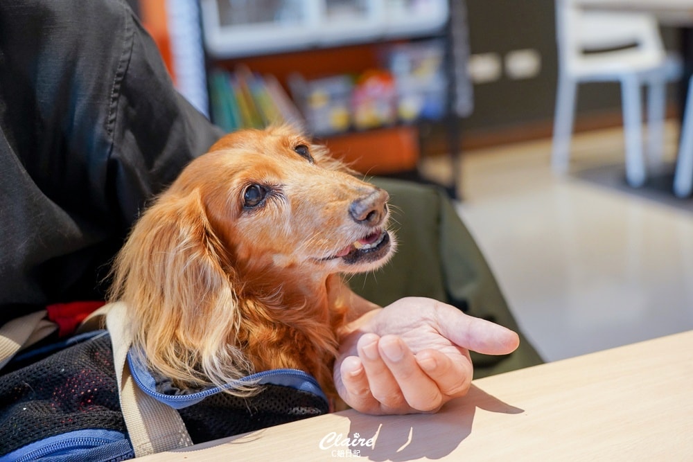 20251024-n5gcd 20251024-n5gcd