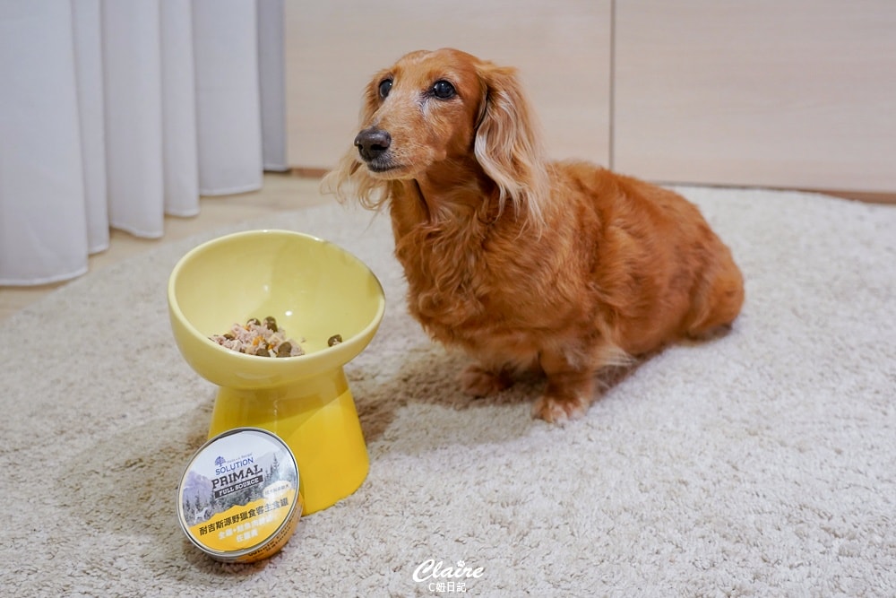 20251024-nt18k 20251024-nt18k