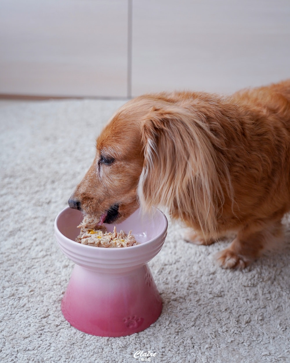 20251024-xpf9f 20251024-xpf9f