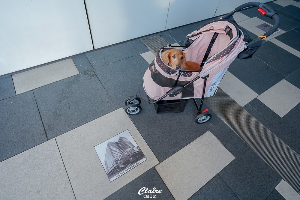 20251024-t4kpu 20251024-t4kpu