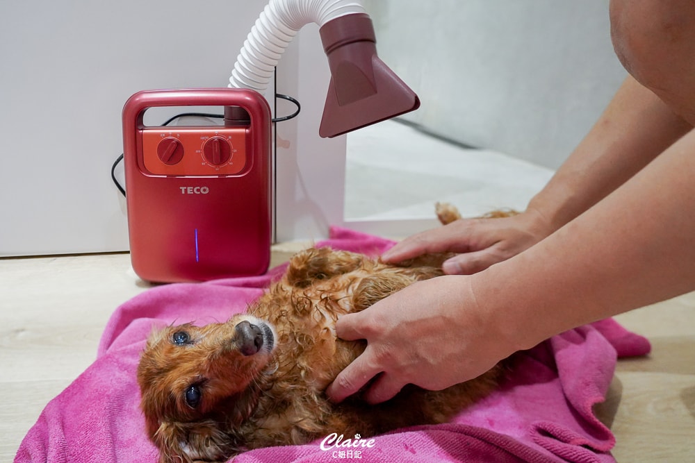 20251024-zj31r 20251024-zj31r