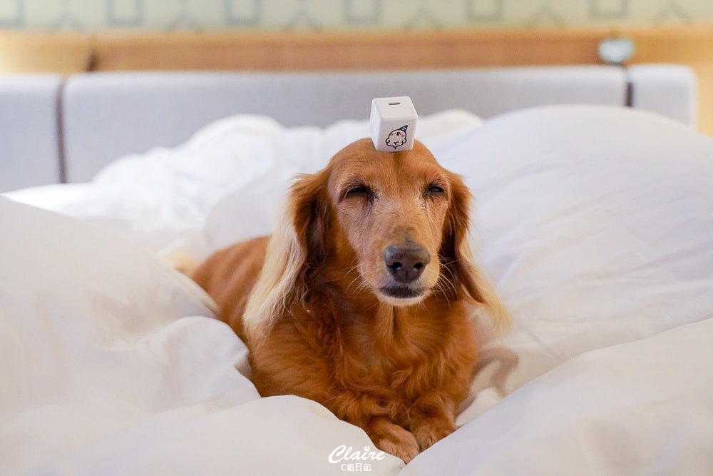 20251024-3v1v2 20251024-3v1v2