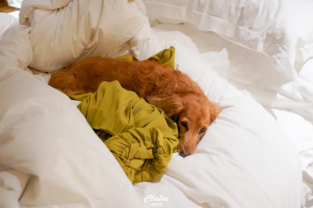 20251024-fvgox 20251024-fvgox