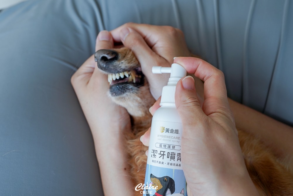 20251024-jq82l 20251024-jq82l