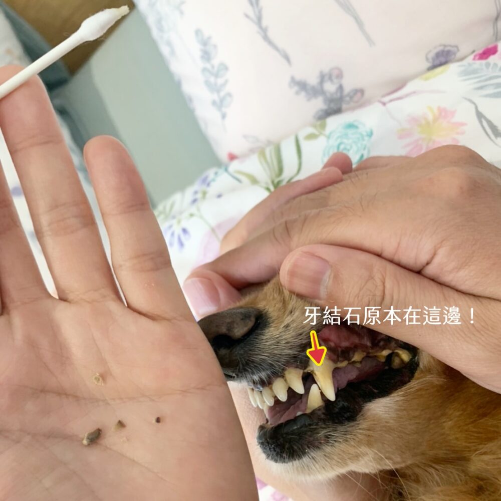 20251024-jurdk 20251024-jurdk