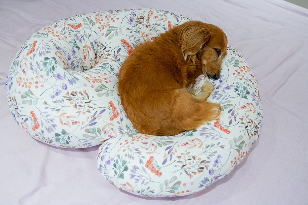 20251024-4seyd 20251024-4seyd