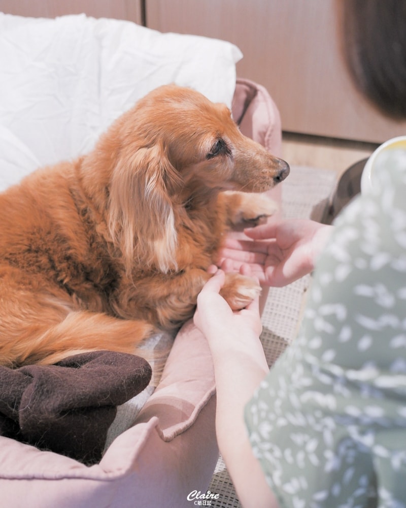 20251024-t3dme 20251024-t3dme