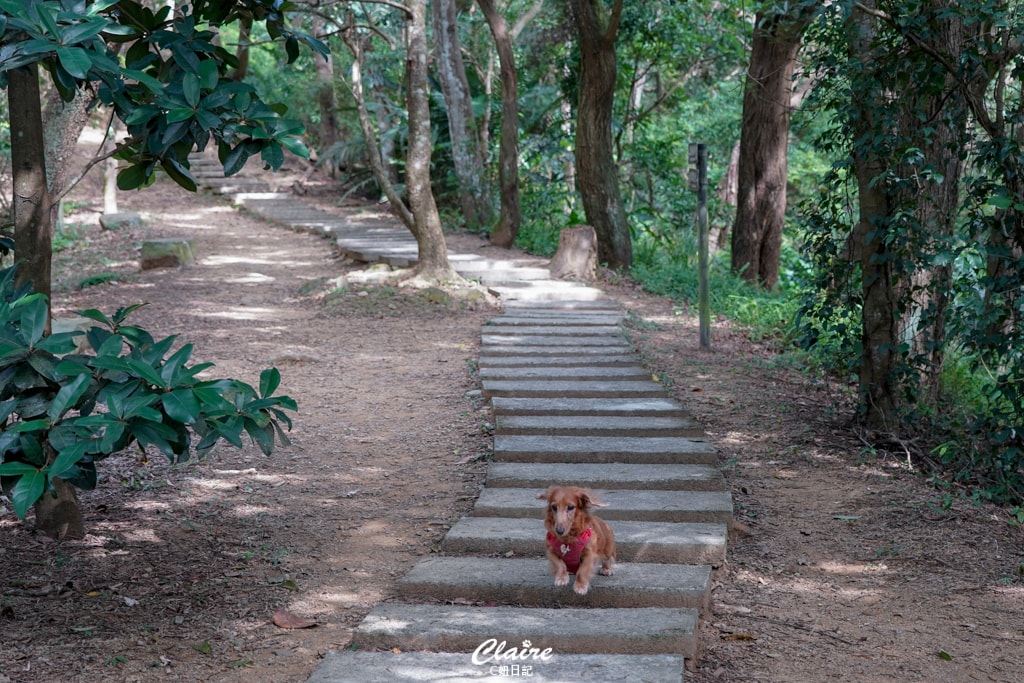 20251024-2f4a7 20251024-2f4a7