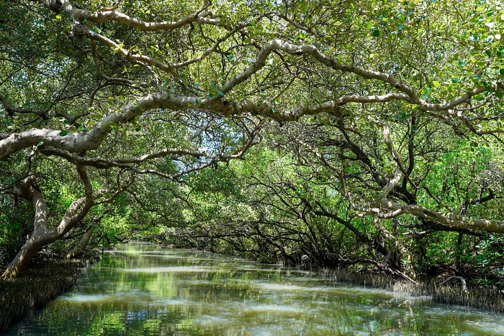 20251024-2kvir 20251024-2kvir