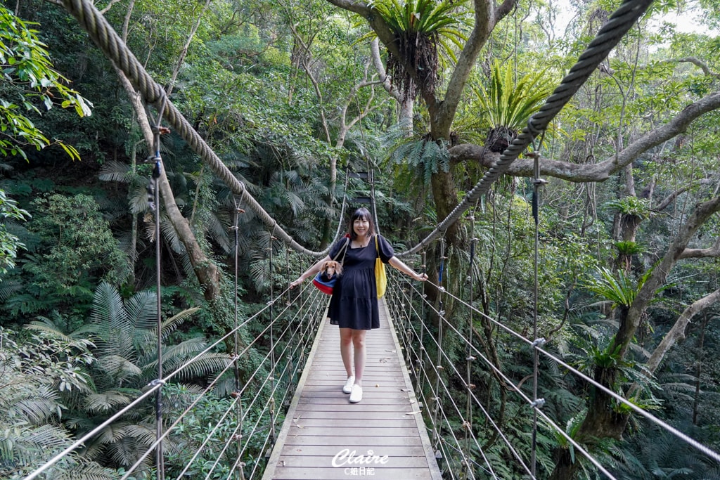 20251024-74708 20251024-74708