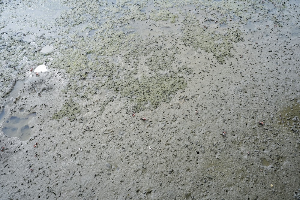 20251024-8zef3 20251024-8zef3