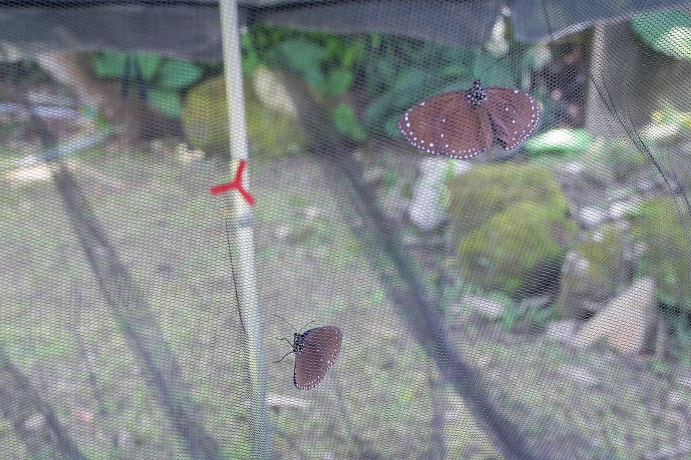 20251024-by3u3 20251024-by3u3