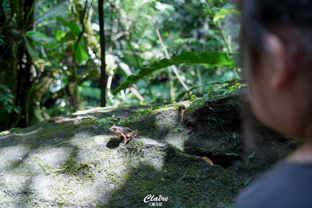 20251024-dw78o 20251024-dw78o