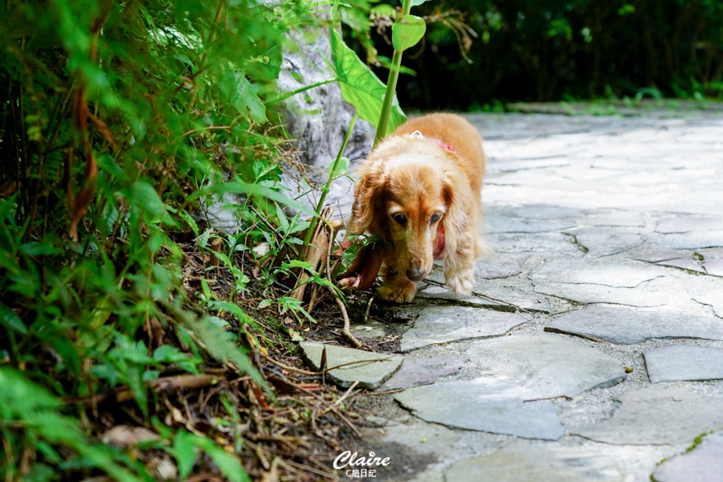 20251024-r6sds 20251024-r6sds