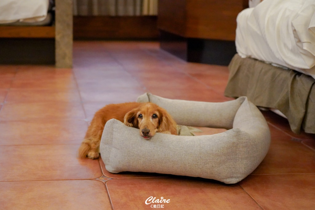 20251024-zh7hr 20251024-zh7hr