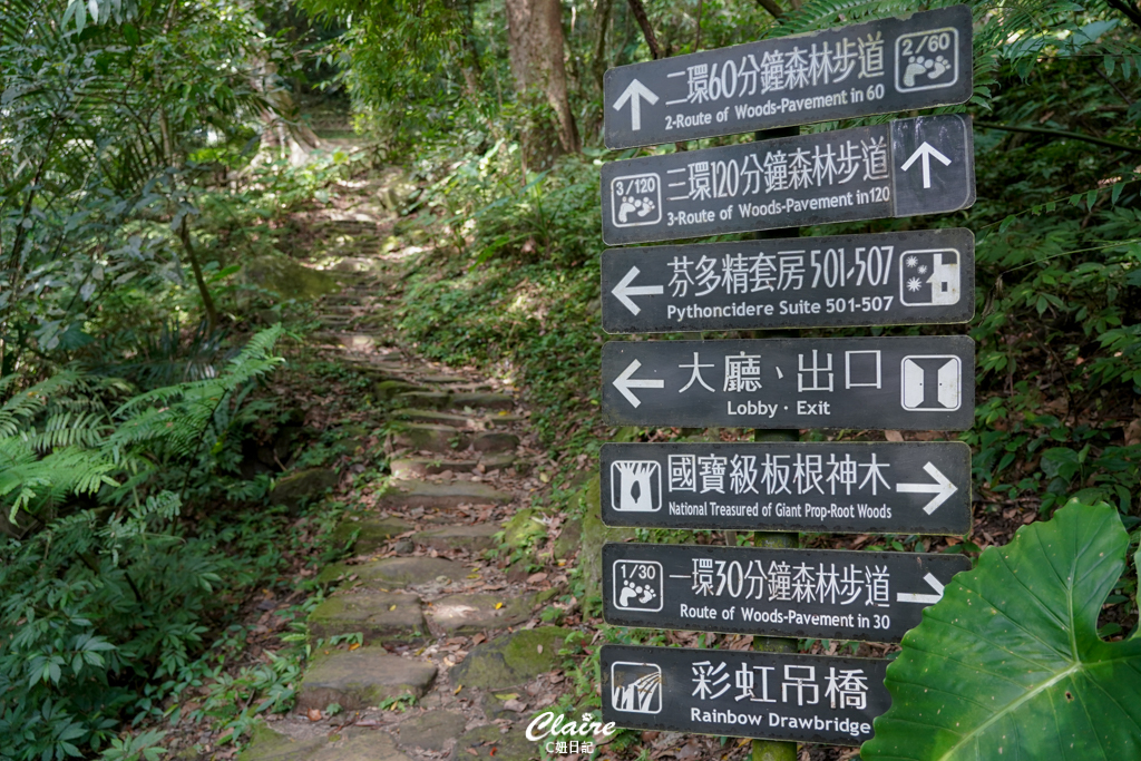 大板根森林溫泉酒店心得｜親子寵物住宿推薦！恐龍嘉年華、溫泉、步道、戶外設施玩到嗨
