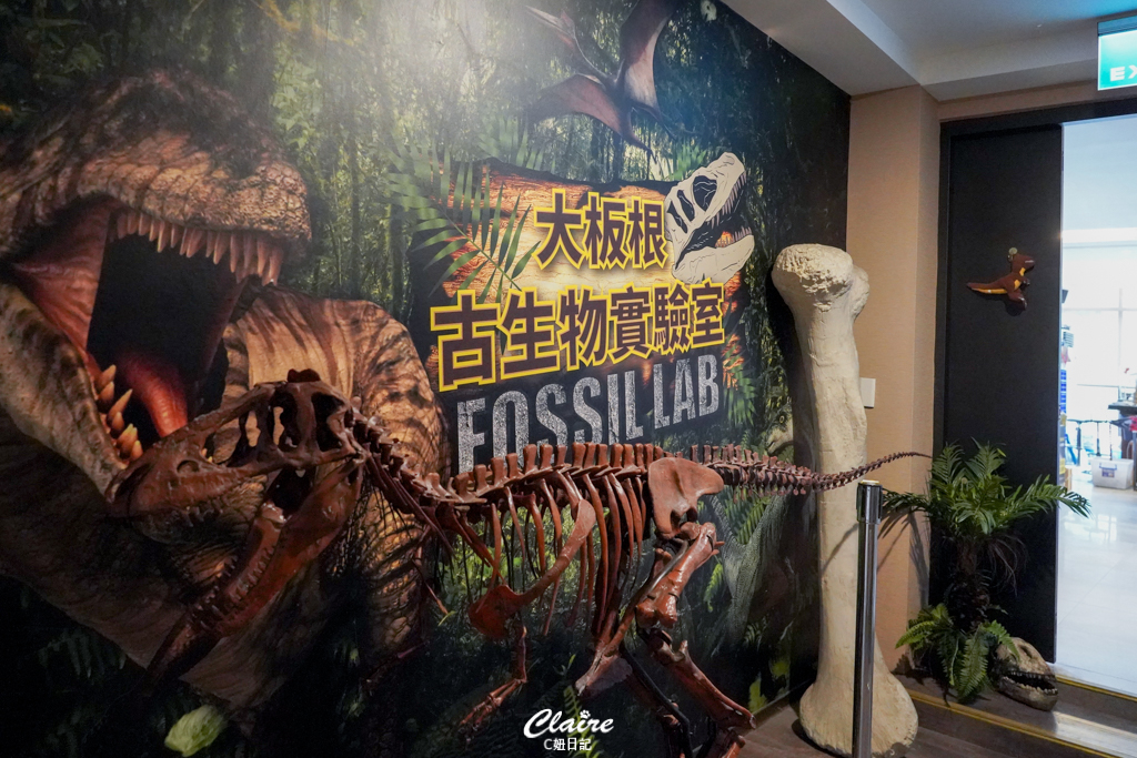 大板根森林溫泉酒店心得｜親子寵物住宿推薦！恐龍嘉年華、溫泉、步道、戶外設施玩到嗨