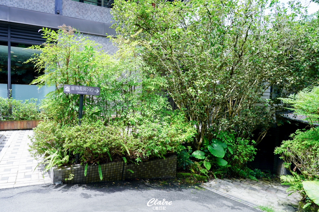 大板根森林溫泉酒店心得｜親子寵物住宿推薦！恐龍嘉年華、溫泉、步道、戶外設施玩到嗨