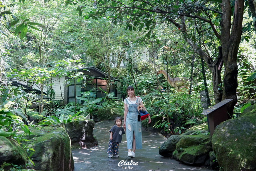 大板根森林溫泉酒店心得｜親子寵物住宿推薦！恐龍嘉年華、溫泉、步道、戶外設施玩到嗨