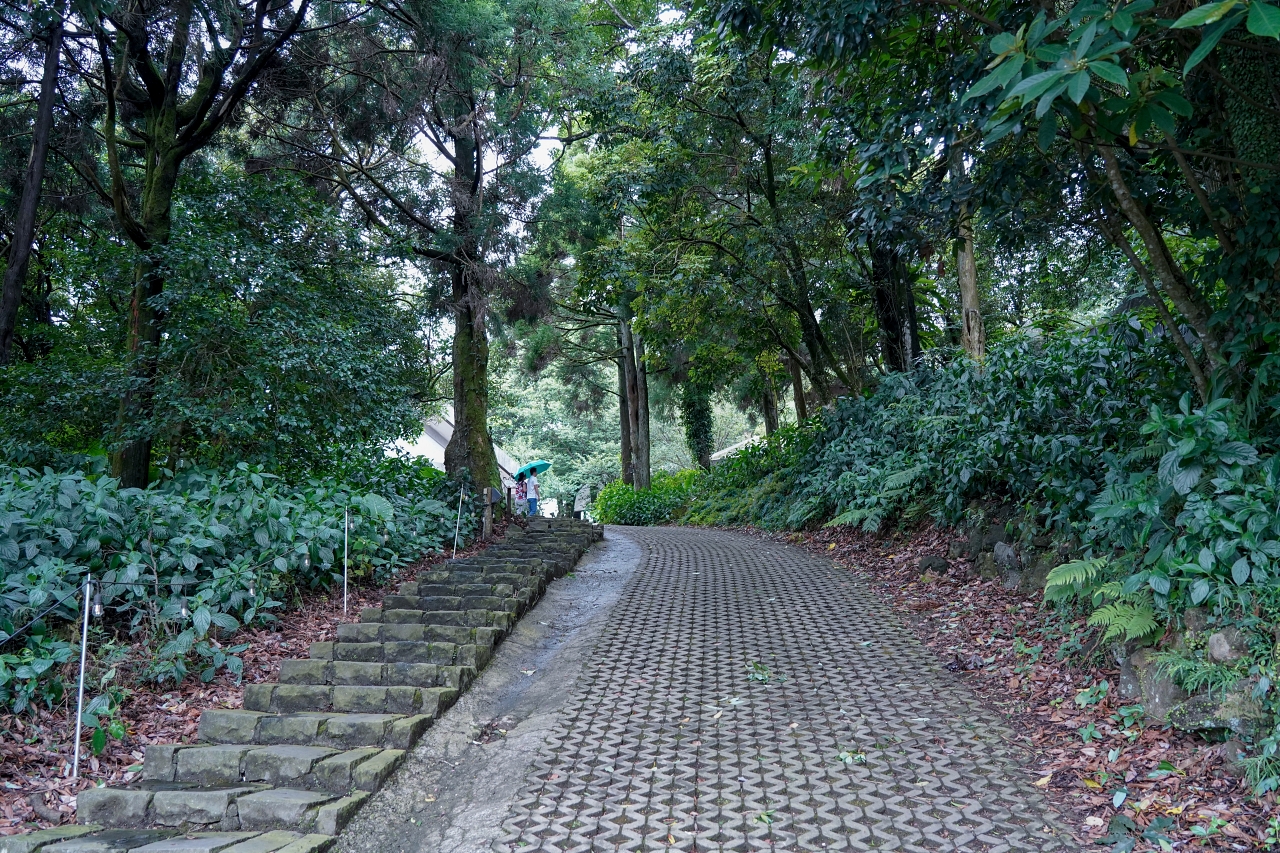 陽明山親子寵物友善野餐【蟬說：暖硫】雨天也夢幻的草山仲夏冰茶季，全家超Chill！