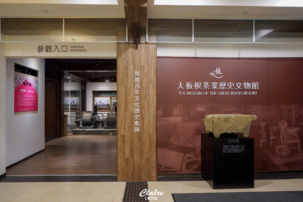 大板根森林溫泉酒店心得｜親子寵物住宿推薦！恐龍嘉年華、溫泉、步道、戶外設施玩到嗨