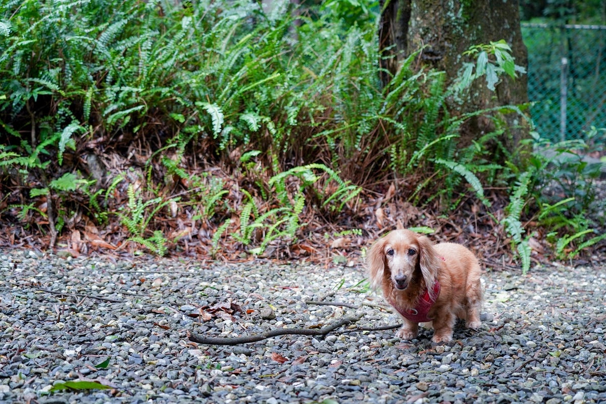 20251024-4y04r 20251024-4y04r