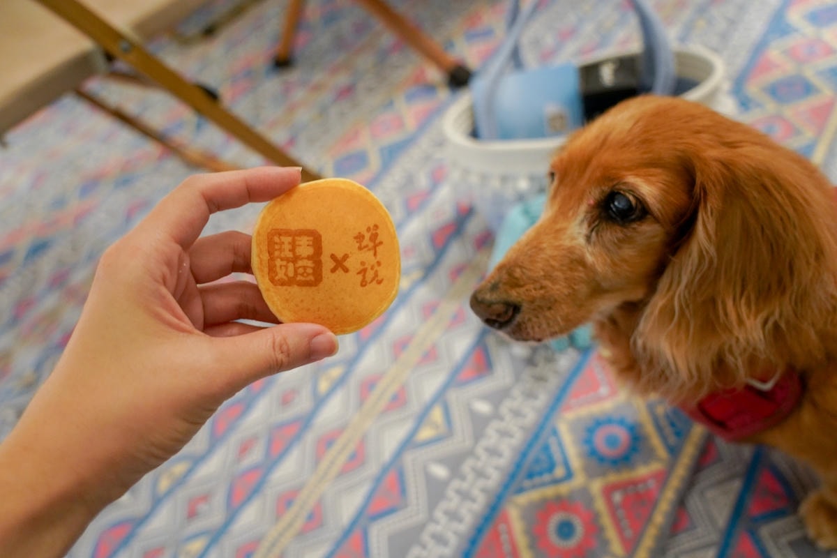 20251024-8f1mm 20251024-8f1mm