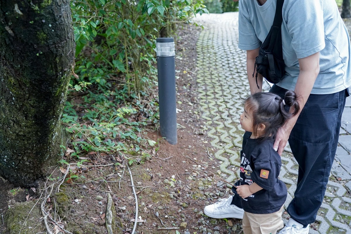 20251024-a38js 20251024-a38js