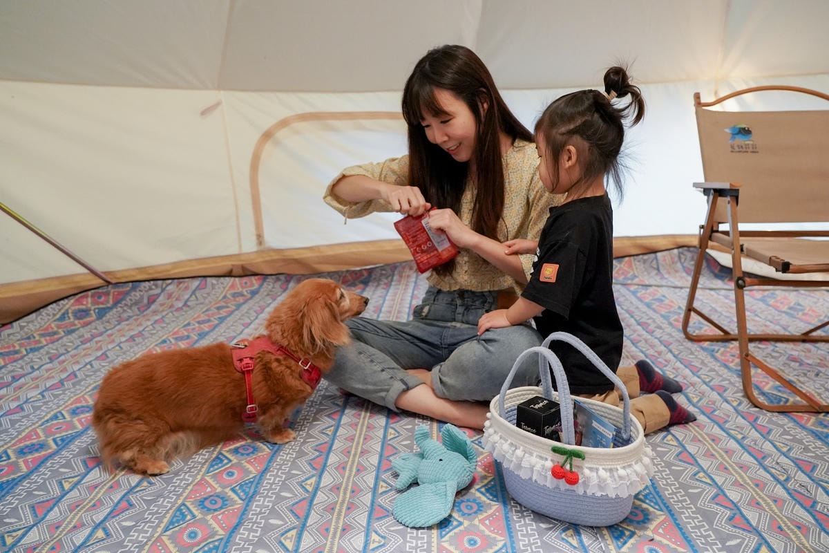 20251024-arvp7 20251024-arvp7