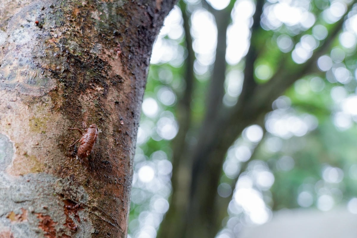 20251024-fui62 20251024-fui62