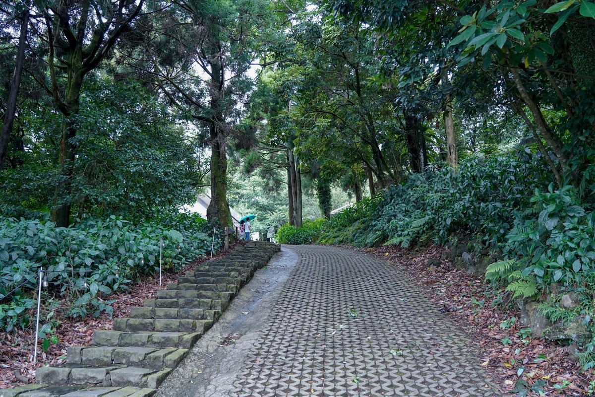 20251024-fysm7 20251024-fysm7