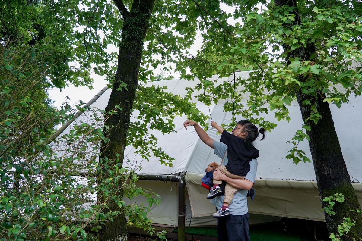 20251024-les31 20251024-les31