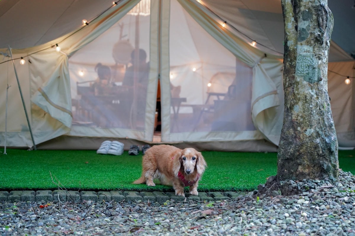 20251024-z575p 20251024-z575p