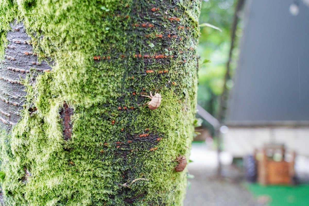 20251024-zspl0 20251024-zspl0