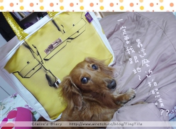 【Claire ♥ Bag】banana taipei 嬌蕉包 – 嬌蕉黃 - 第15張圖 【Claire ♥ Bag】banana taipei 嬌蕉包 – 嬌蕉黃