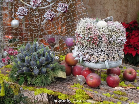 【遊】聖誕氛圍‧人多到爆炸的花博 - 第20張圖