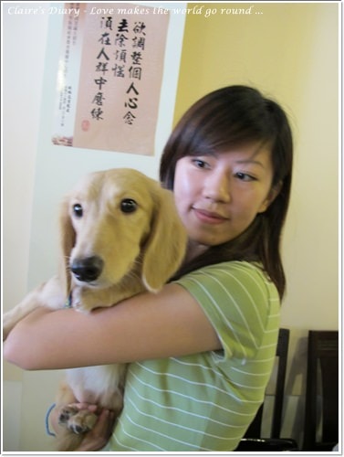 【腸♥聚】貓來貓去茶坊+環球迷你寵物公園 - 第10張圖