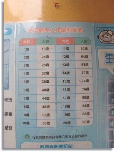 【PET】布,送你最後一程 - 第9張圖