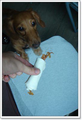 【Tila】2010 TILA打預防針 - 第7張圖