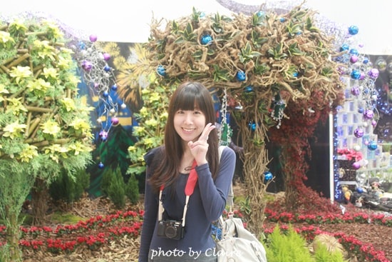 【遊】聖誕氛圍‧人多到爆炸的花博 - 第19張圖