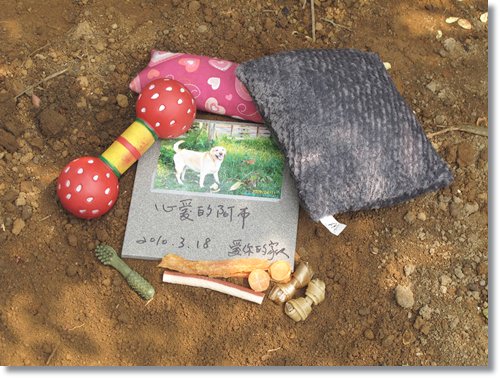 【PET】布,送你最後一程 - 第13張圖