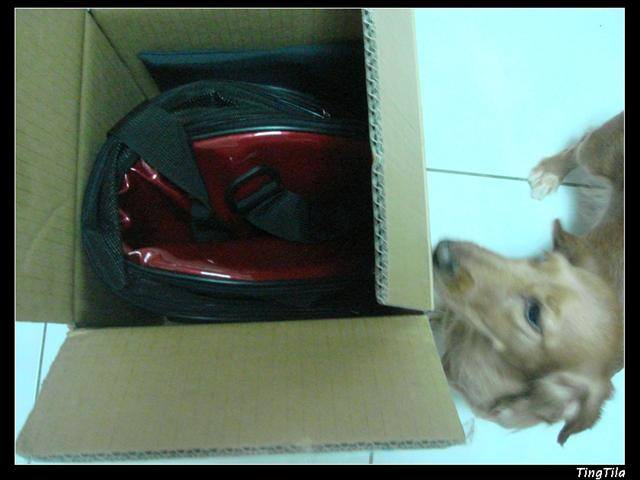 【Tila愛買買】豬肝紅  包包 - 第7張圖