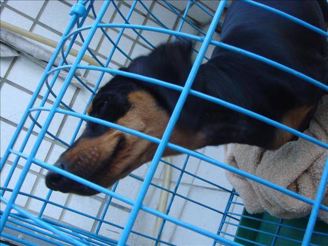 ◆Claire心底話◆短暫的緣分 妹妹 - 第5張圖