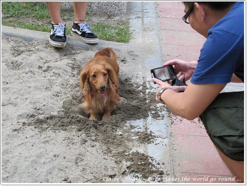 【腸♥聚】貓來貓去茶坊+環球迷你寵物公園 - 第19張圖