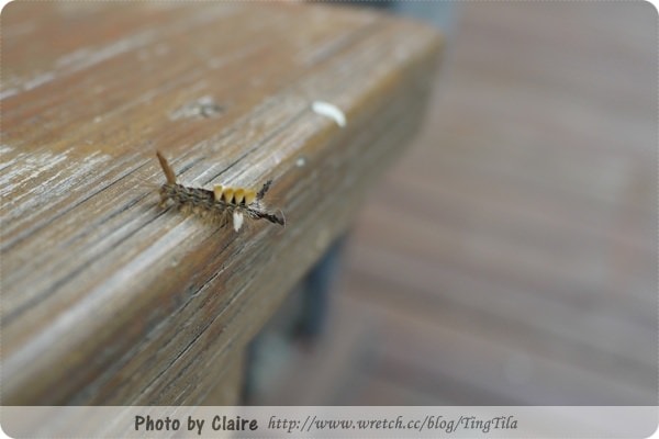 【3C】第一台筆電 Lenovo IdeaPad Z370 甜美粉紅