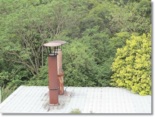 【PET】布,送你最後一程 - 第7張圖