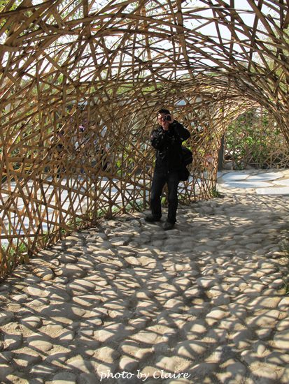 【遊】聖誕氛圍‧人多到爆炸的花博 - 第3張圖