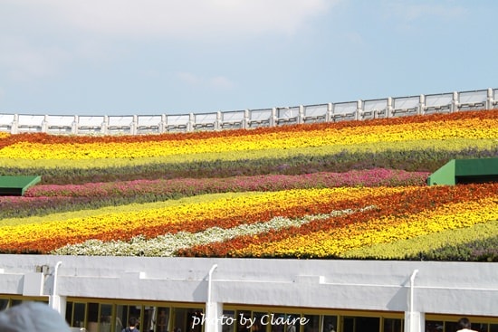 【遊】聖誕氛圍‧人多到爆炸的花博 - 第13張圖