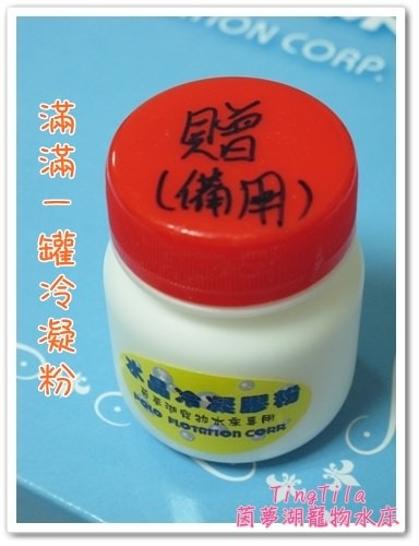 【Tila愛買買】第四代茵夢湖寵物水床 - 第4張圖